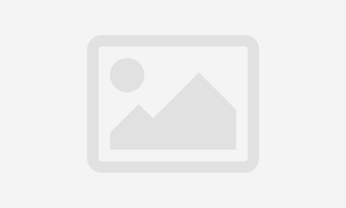 Personal Care Assistant (PCA)